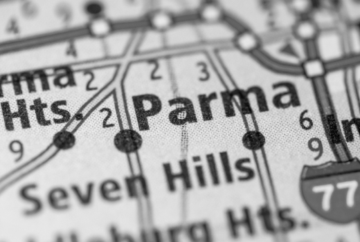 SEO Solutions for Businesses in Parma