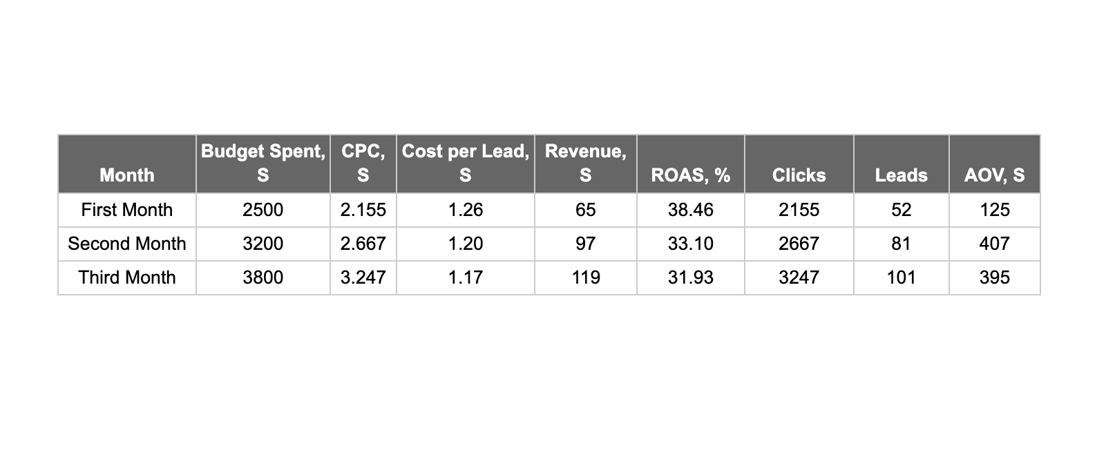 Advertising campaigns for eyewearcloset.com showed significant growth with a 52% increase in budget, a 50.7% increase in clicks, a 2.14-fold increase in conversions, and a doubling of revenue. This confirms their success and effectiveness in attracting customers and increasing revenue.